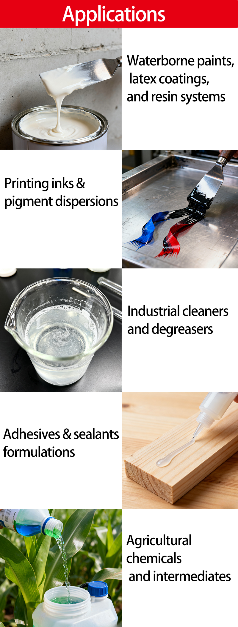 PNP 英文应用详情